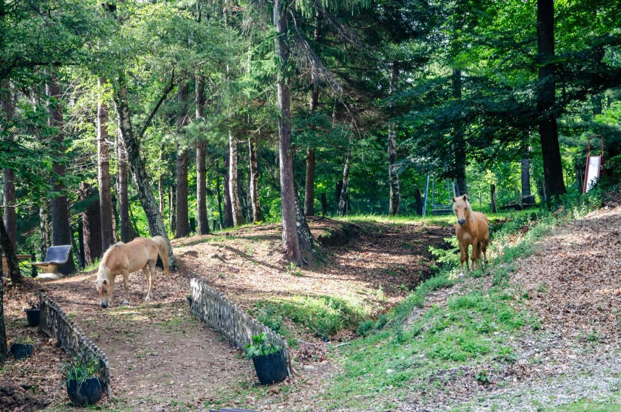 Bellosta Family Country Club Mb Alpe Moiana Armeno ภายนอก รูปภาพ